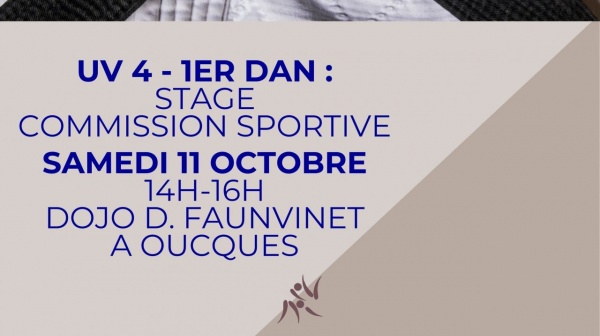 STAGES THEORIQUES UV4